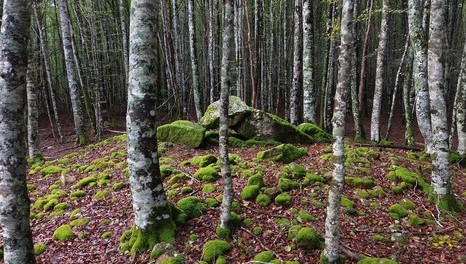 Dolmen Artzilo